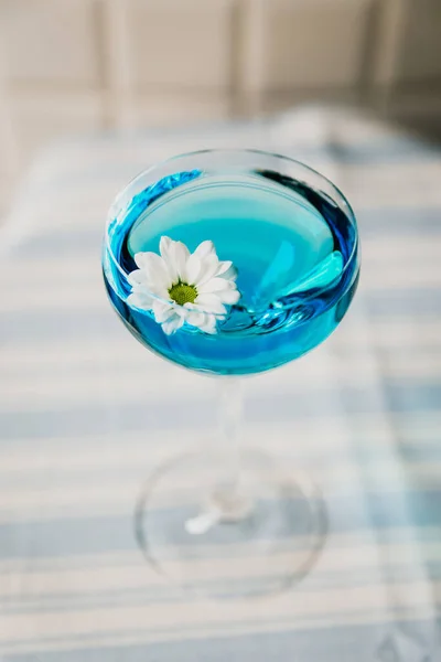 カモミールの花で装飾されたニックとノラガラスの明るい青のカクテル — ストック写真