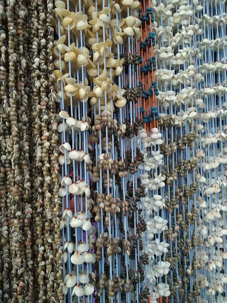 Bu fotoğraf Chennai Beach Shell Store 'da çekildi.