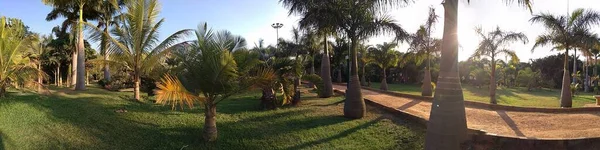 Picture Taken Park Previous Phone Which Has Panorama Option Which — Stock Photo, Image