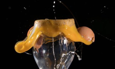 Yüksek hızlı fotoğrafçılık. Yumurta patlaması