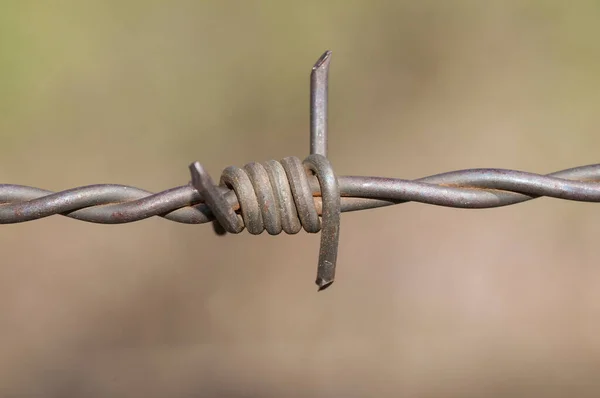 Odaklanmamış arka planı olan paslı metal dikenli tel. Özgürlüğü temsil etmek için kullan