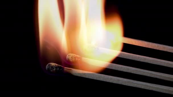 Zapalenie Zapałek Spalenie Końca Dzielenie Się Ogniem Spalanie Zapałek Blisko — Wideo stockowe