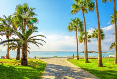  Kıbrıs Rum Kesimi, Aiya Napa 'daki Nissi plajı. Ayia Napa kıyı şeridi.