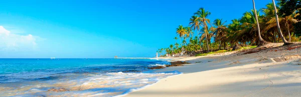 Tropical Beach Dominican Republic Coconut Palm Trees White Sandy Beach — Stock Photo, Image