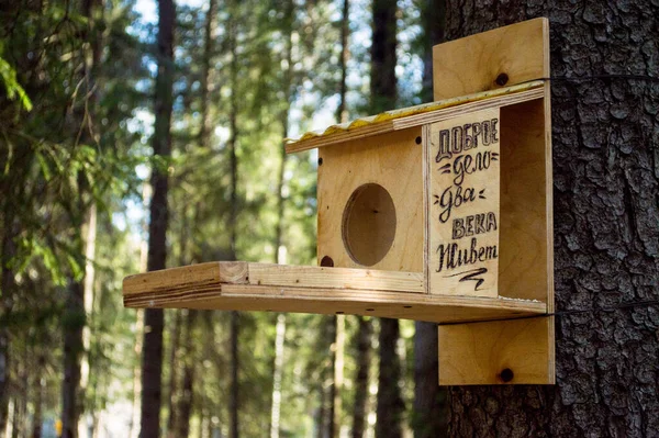 Een Geel Groene Houten Vogel Voeder Eekhoorn Vastgebonden Aan Een — Stockfoto