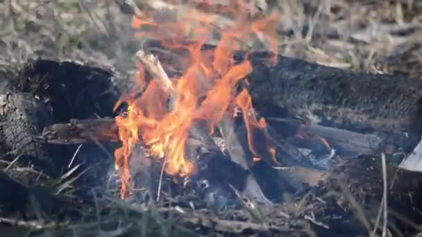 Le feu brûle, de la fumée en sort. Un enfant jette de l'herbe sèche dans un feu