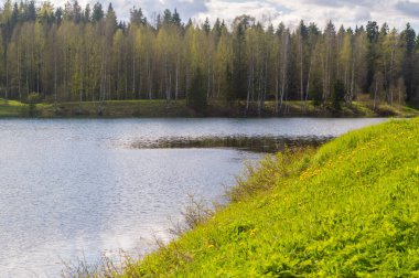 Bahar. Sessiz bir gölün kıyısında. Su çok sakin. Arka planda bir orman var..