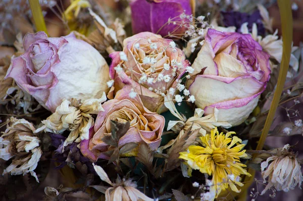 ピンクのバラのドライ花束をクローズアップ撮影した 絵葉書 — ストック写真