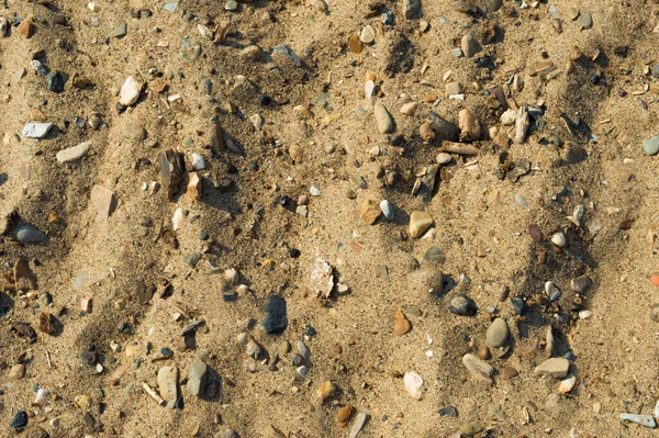 Sable Jaune Sur Plage Avec Des Cailloux Petits Bâtons Galets — Photo