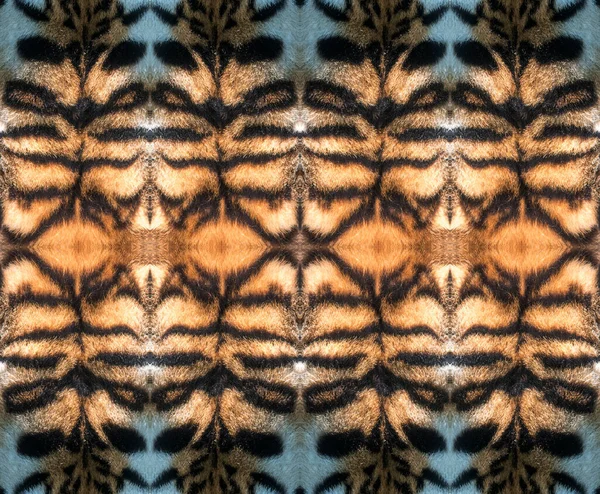 Kaplanların derilerinden yapılmış kusursuz görüntüler.