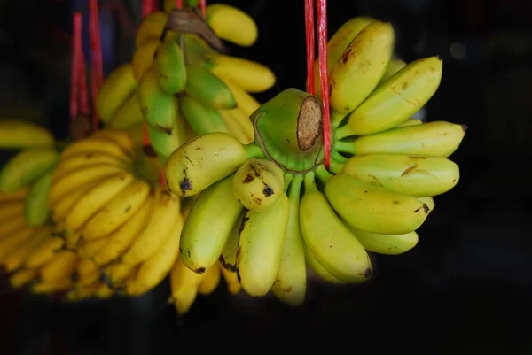 Bunch Bananas Hanging Shop — Stock Photo, Image
