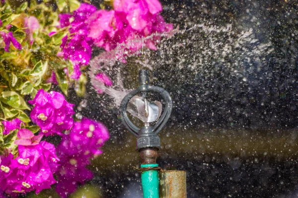 Sistema Rociadores Para Jardín — Foto de Stock