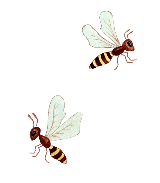 Abejas Dibujos Animados Abejita Está Volando Colección Avispas Icono Insecto —  Fotos de Stock