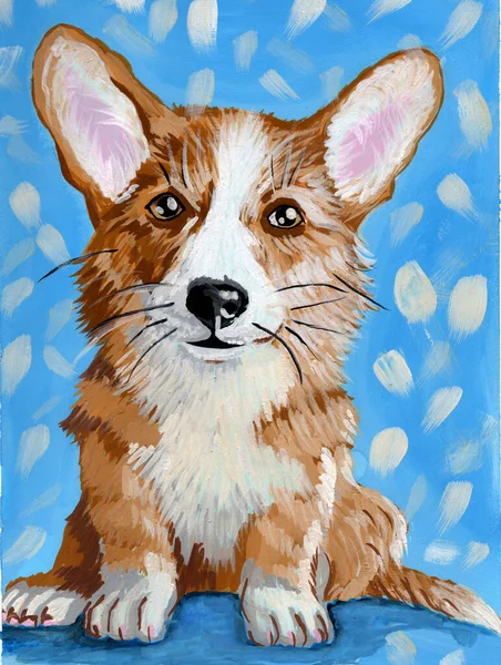 Corgi Dog Realistische Kleine Gember Puppy Een Blauwe Achtergrond Huisdier — Stockfoto