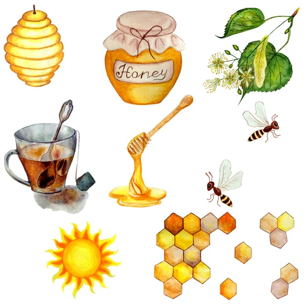 Mézes Készlet Méhészeti Gyűjtemény Rajzfilm Méh Készlet Akvarell Illusztrációk Egy — Stock Fotó
