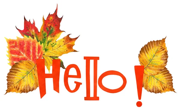 秋の葉とオレンジのテキストHello メープル オーク エルム 白樺の葉 秋のイラスト 白い背景に隔離されている 手描き — ストック写真