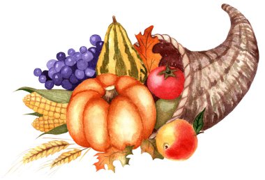 Cornucopia. Meyve ve sebzeli sepet. Hasat Festivali, Şükran Günü. Balkabağı, üzüm, mısır, elma, domates ve buğday kulağı. Suluboya çizimi. Beyaz arka planda izole edilmiş. El çizimi..