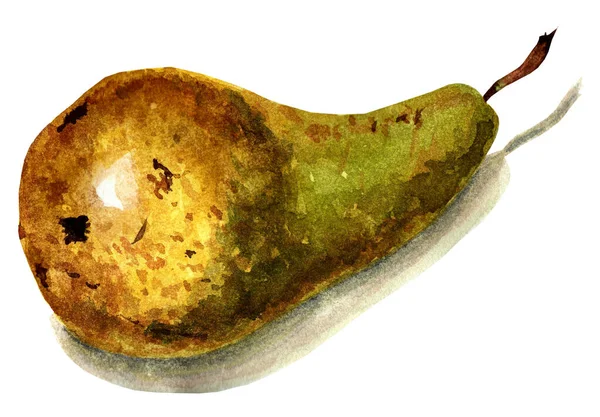 Fresh Whole Green Pear Brown Specks Lying Its Side Watercolor — Stock Photo, Image