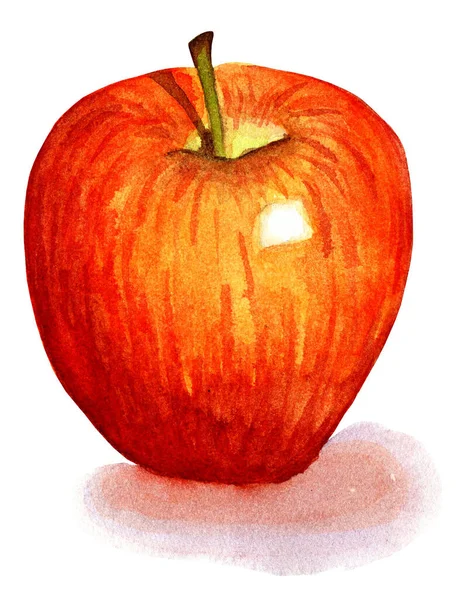 Rode Appel Sappig Eco Fruit Herfst Oogst Aquarelillustratie Geïsoleerd Witte — Stockfoto