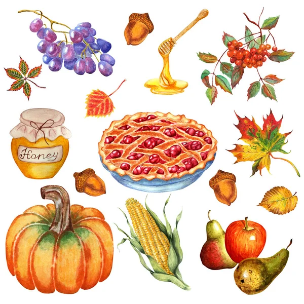 Thanksgiving Set Pompoen Kersentaart Appels Peren Maïs Druiven Honing Rowan — Stockfoto