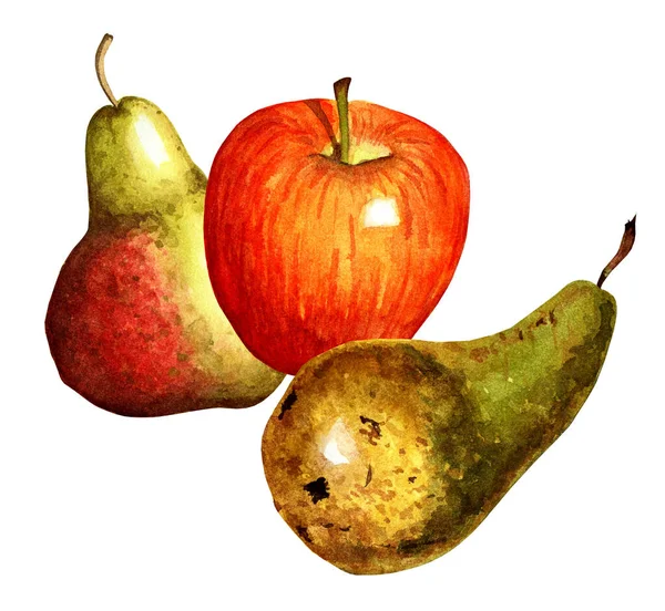 Aquarelstilleven Twee Peren Een Appel Geelgroene Peren Rode Appel Geïsoleerd — Stockfoto