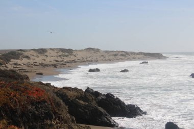 CA-1 'in dışındaki Fil Seal Vista Noktası.