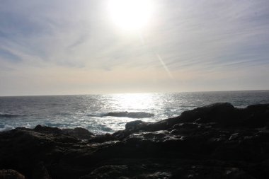 Point Lobos Eyaleti Doğal Rezervi.