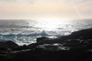 Point Lobos Eyaleti Doğal Rezervi.