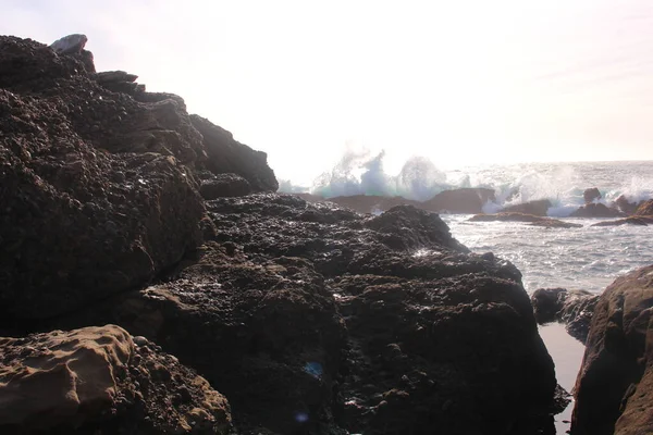 Reserva Natural Estadual Point Lobos — Fotografia de Stock