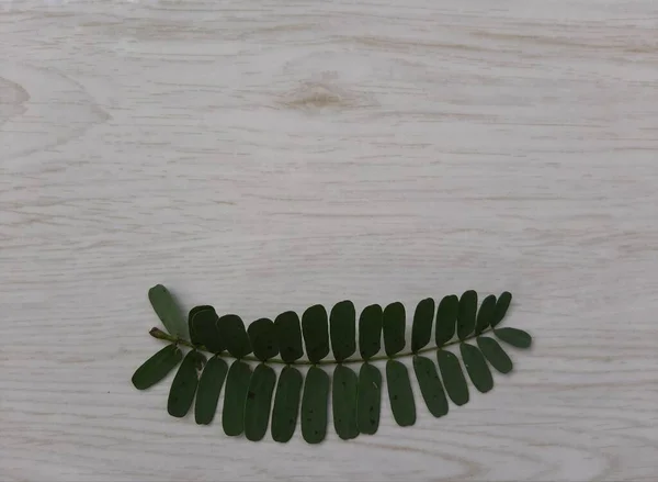 Yeşil demirhindi yaprakları beyaz ahşap arka planda izole edilmiş.