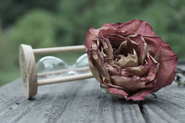 Rosa Seca Con Reloj Arena Roto Aire Libre Patio — Foto de Stock