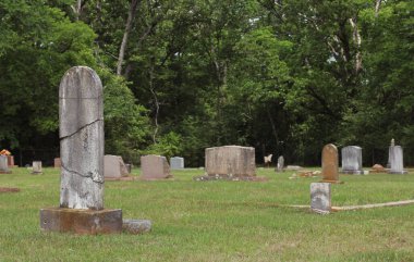 Tyler Texas 'taki Meador Mezarlığında Tarihi Mezar Taşları