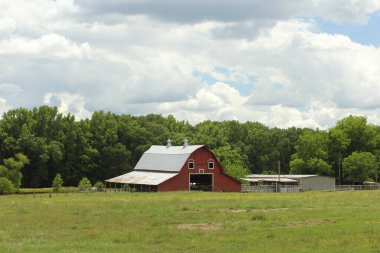 Doğu Teksas 'taki çiftlikte Blue Sky, Overton Texas ile birlikte Red Barn' da.