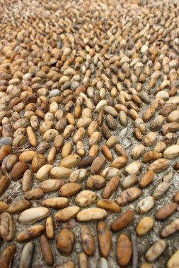 Yürürken çakıl taşı dokusu