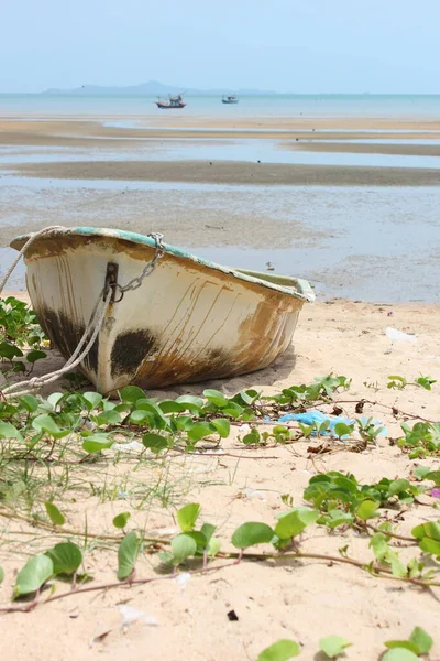 Kumsaldaki eski tekne. 