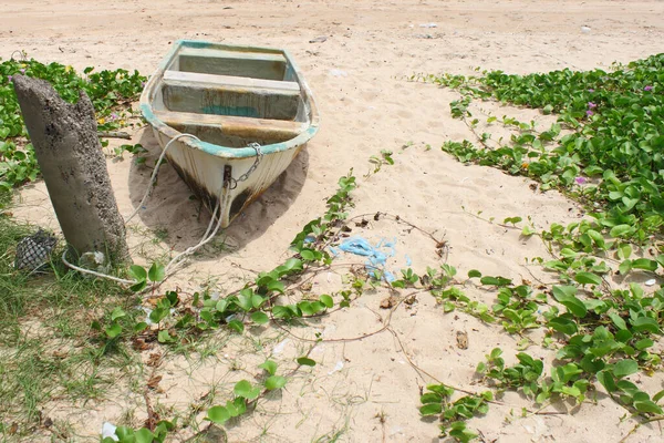 Kumsaldaki eski tekne. 