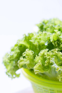 Taze yeşil marul, yakın çekim.