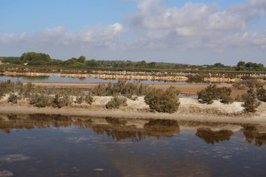 Kuru kahverengi çalılar ve yeşil eğreltiotları ile büyük sığ gölet ve mavi gökyüzü yansıması ve beyaz bulutlar. Sıcak bir yaz öğleden sonrasında İspanya 'nın Mallorca adasında çekildi.