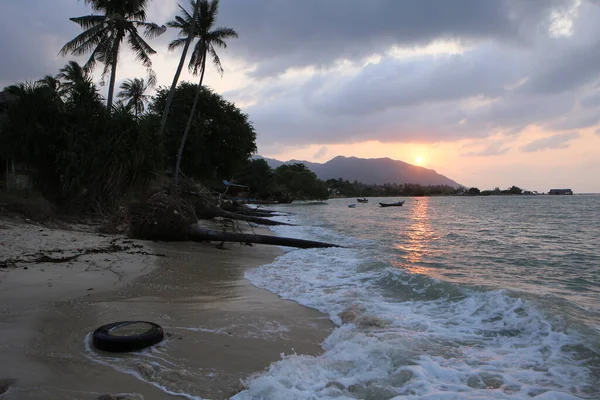 Matahari Pagi Ditembak Dari Sisi Pantai Kolam Renang Dengan Pohon — Stok Foto