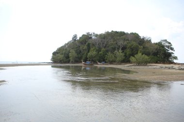 Küçük ıssız bir adanın panorama günü çekimi, alçak gelgitte, ağır yeşil orman bitki örtüsüyle, kıyıda iki uzun tekne, arka planda beyaz bulutlar. Tayland