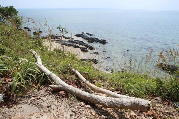 风景秀丽的枯干树干在空旷的白沙滩上 绿草蓝天 在泰国Koh Lanta热带度假期间被枪击身亡 — 图库照片
