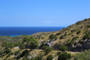 İspanya 'daki güzel ve renkli Mallorca adasında mavi deniz suyu ve gökyüzü arka planıyla izole edilmiş yeşil ve sarı bitki örtüsü manzarası