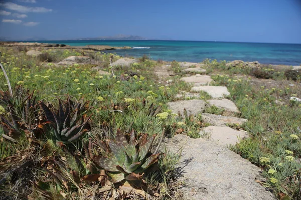 西班牙美丽多姿多彩的马略卡岛上 蓝绿色碧绿海水 蓝天的孤寂石滩风光尽收眼底 — 图库照片