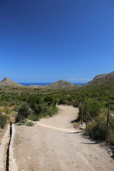 西班牙美丽 五彩斑斓的马略卡岛上孤立的蓝海蓝水 蓝天背景绿黄植被山全景景观 — 图库照片