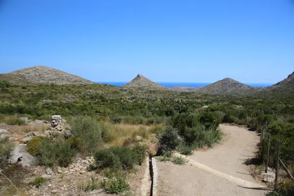 西班牙美丽 五彩斑斓的马略卡岛上孤立的蓝海蓝水 蓝天背景绿黄植被山全景景观 — 图库照片