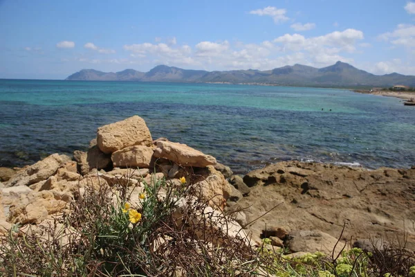 Panorama Paysage Vue Panoramique Plage Déserte Isolée Herbe Sèche Rocheuse — Photo