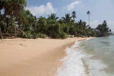 Sri Lanka 'daki beyaz kumlu Polhena plajı gibi güzel deniz manzarası, kristal berrak mavi okyanus suyu, küçük dalgalar, yeşil palmiye ağaçları ve sahildeki kulübeler