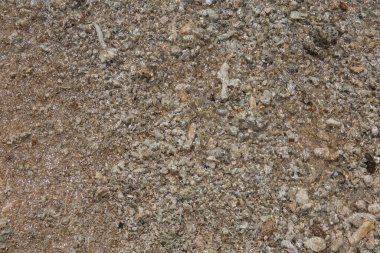 Doğal olarak doldurulmuş çerçeve, ıslak kahverengi bej çakıl plaj kayaları ve taş yüzeyinin arka plan duvar kağıdını kapatır.