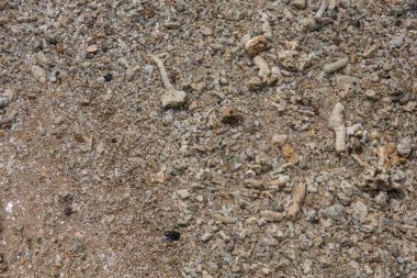 Doğal olarak doldurulmuş çerçeve, ıslak kahverengi bej çakıl plaj kayaları ve taş yüzeyinin arka plan duvar kağıdını kapatır.