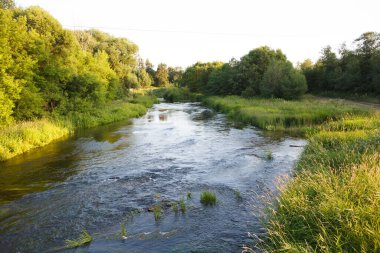 Nerl Nehri 'nin uzun yeşil çimenler, canlı bitkiler, ağaçlar ve ormanlarla çevrili vahşi bir ortamda çekilmiş güzel bir panoramik doğa fotoğrafı. Ivanovo, Vladimir Oblastı, Rusya